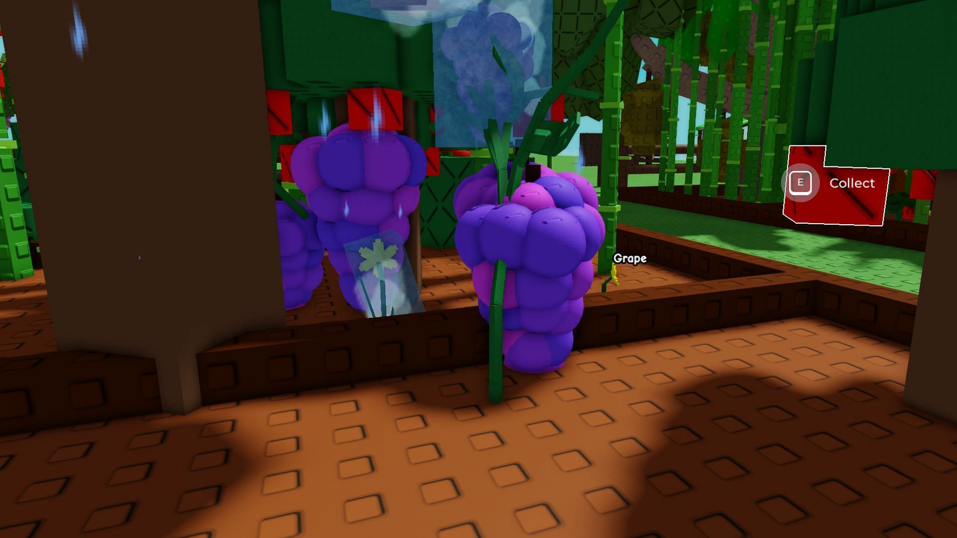 The Grape vines spread horizontally (Image via Roblox)